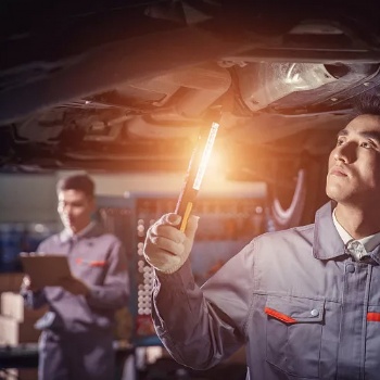 Working light